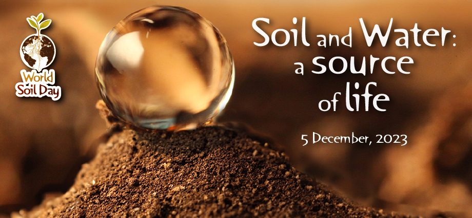 World Soil Day 2023 - Soil and Water: a source of life