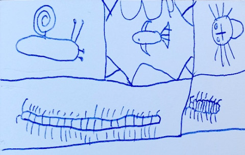 Tekening van bodemdieren