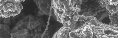 Microscopische opname van de bodem