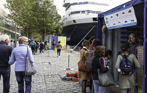 Bodemdierendagen op de Wereldhavendagen