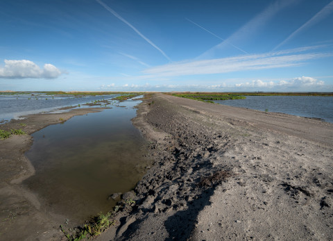 Marker Wadden