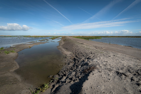 Marker Wadden