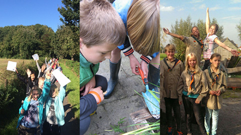Compilatie