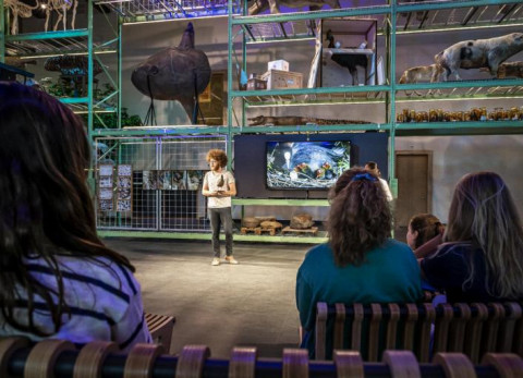 LiveScience Naturalis