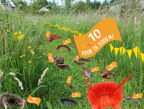 Bodemdierendagen: 10 voor de bodem