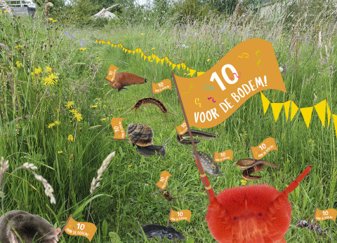 10e editie Bodemdierendagen: 10 voor de bodem!