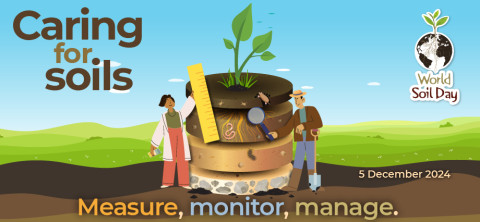 World Soil Day 2024