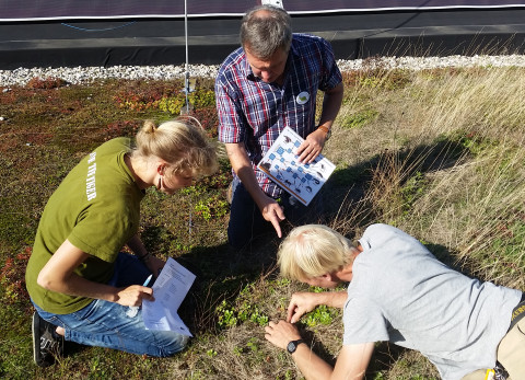 Op zoek naar bodemdieren