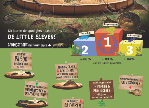 Infographic BDD 2025