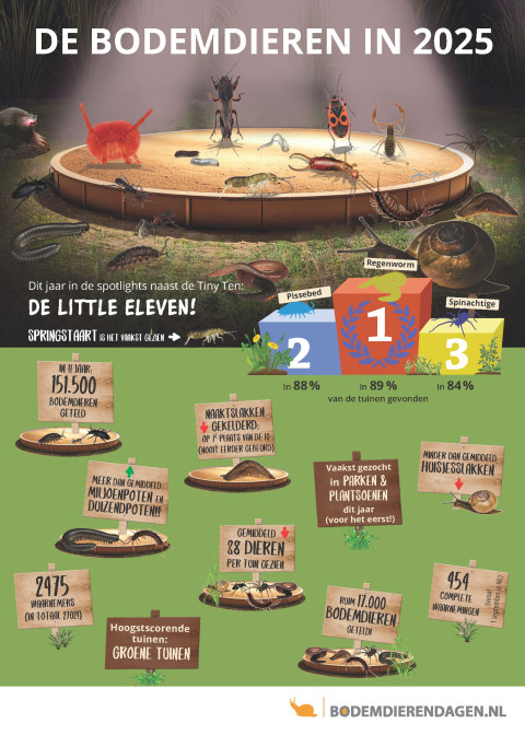 Infographic BDD 2025