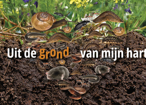 Bodemdierendagen 2026: Uit de grond van mijn hart