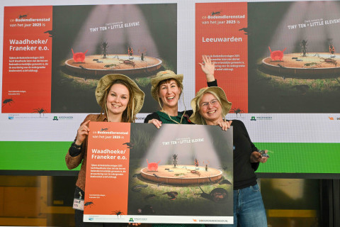 Eerdere winnaars van de Stedenbattle