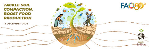 World Soil Day 2026