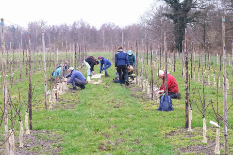 Aan het werk op boomgaard de Usseler Es