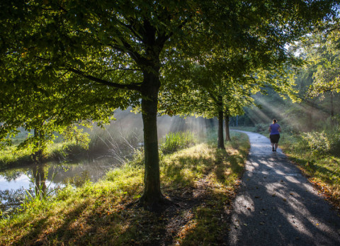 Burgemeester Van Zwietenpark Den Bosch