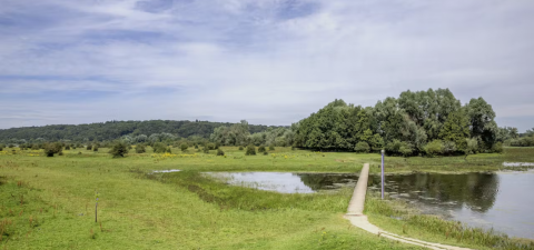 Natuurgebied de Blauwe Kamer