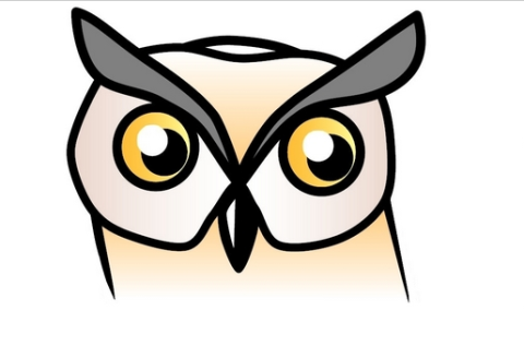Logo stichting De Uil