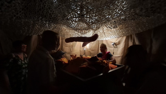 De regenwormenchallenge: kinderen en ouders probeerden bladeren de grond in te trekken