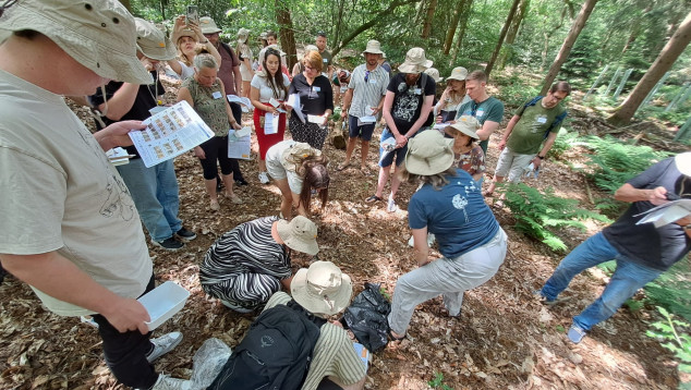 Docenten zoeken bodemdieren in het bos in Lunteren.