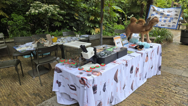 Artis Aardbewonersfestival