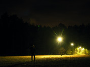 Lantarenpalen in het bos voor het Licht op natuur project