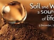 World Soil Day 2023 - Soil and Water: a source of life