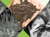 BioBlitz: Natuurgeheimen in de bodem