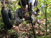 Bodemdierenblitz
