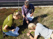 Op zoek naar bodemdieren