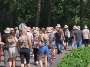 Docenten op weg naar het bos voor de bodemdierensafari.