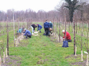 Aan het werk op boomgaard de Usseler Es