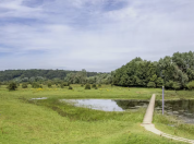 Natuurgebied de Blauwe Kamer
