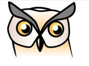 Logo stichting De Uil