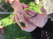 Samen bodemdieren zoeken: regenworm op de hand
