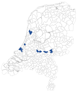 een glansloopkever