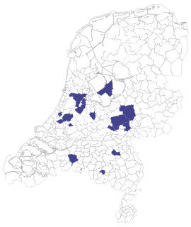 boerenknoopje
