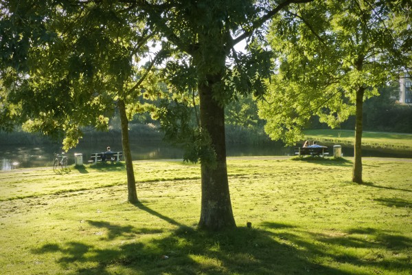 Foto van een park en plantsoen